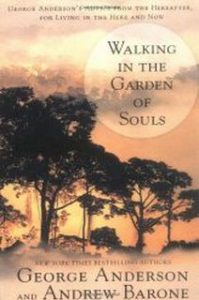 Walking in the Garden of Souls