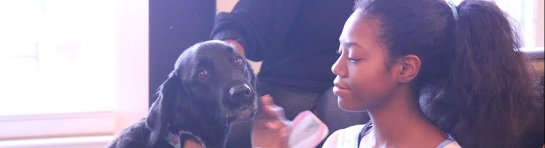 Brian Smith's Validation through Zoe