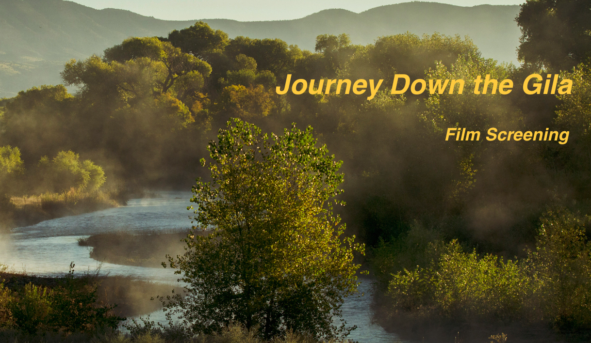 Journey Down the Gila