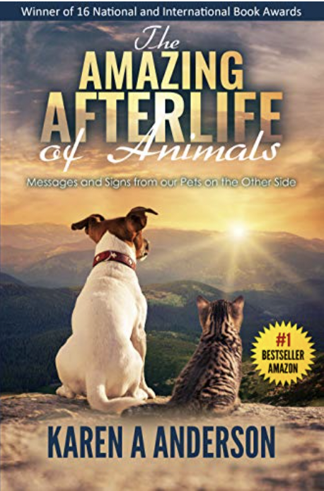 The Amazing Afterlife of Animals