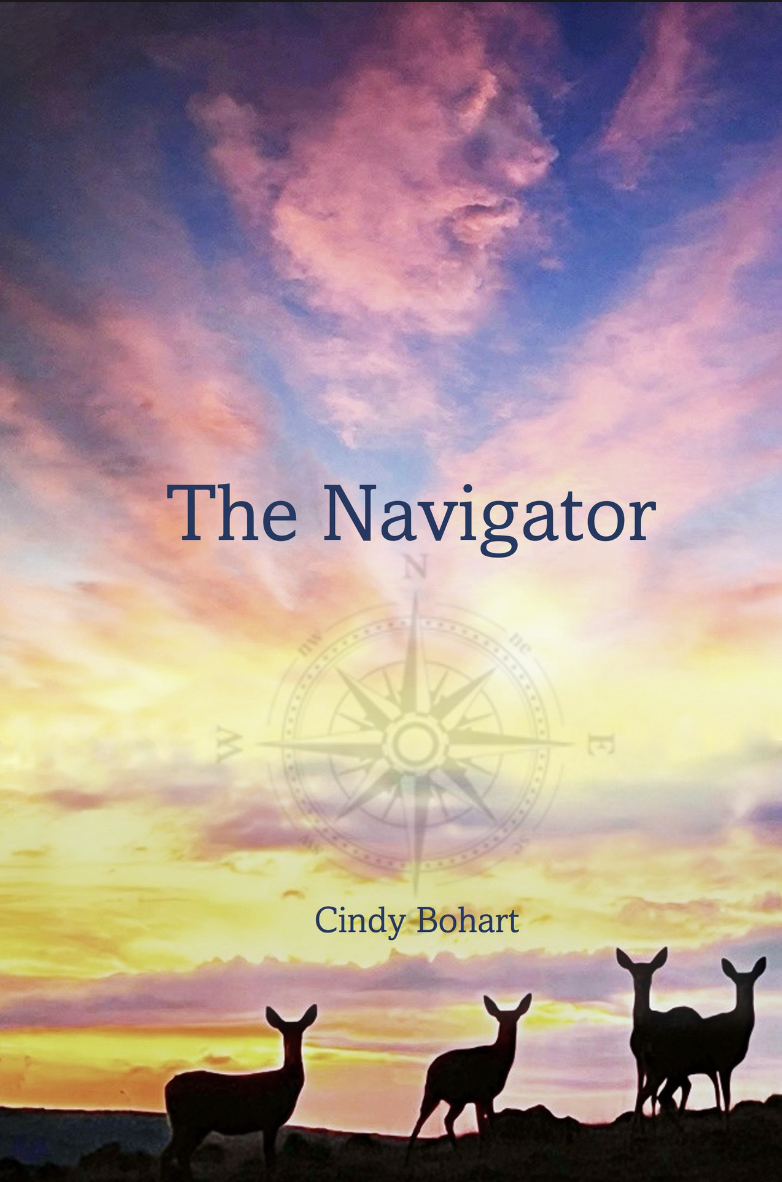 The Navigator