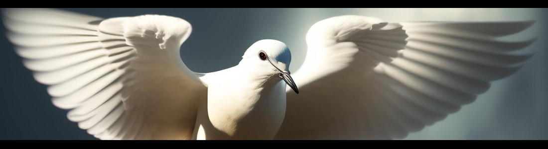 The Wisdom of Greg - The Dove