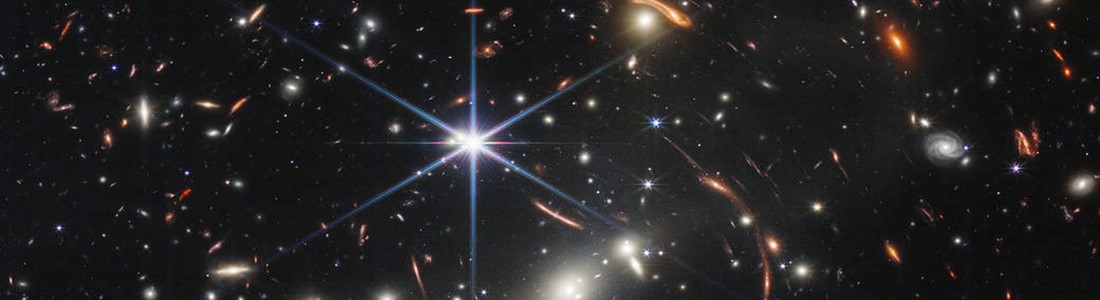 The Wisdom of Greg - He Knew All Along