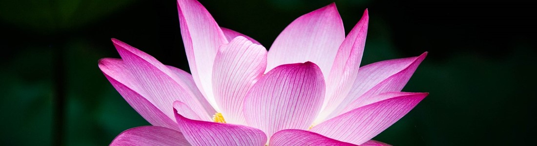 The Wisdom of Greg - How Bill Connects with Greg