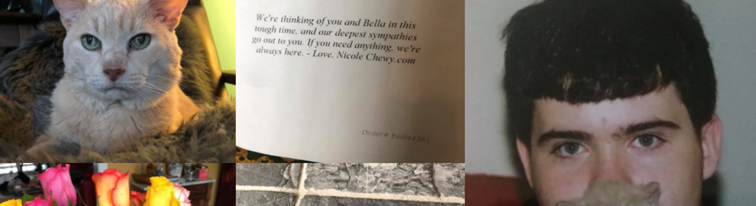 Wendy Marie Wahl's Validation from Bella and Daniel