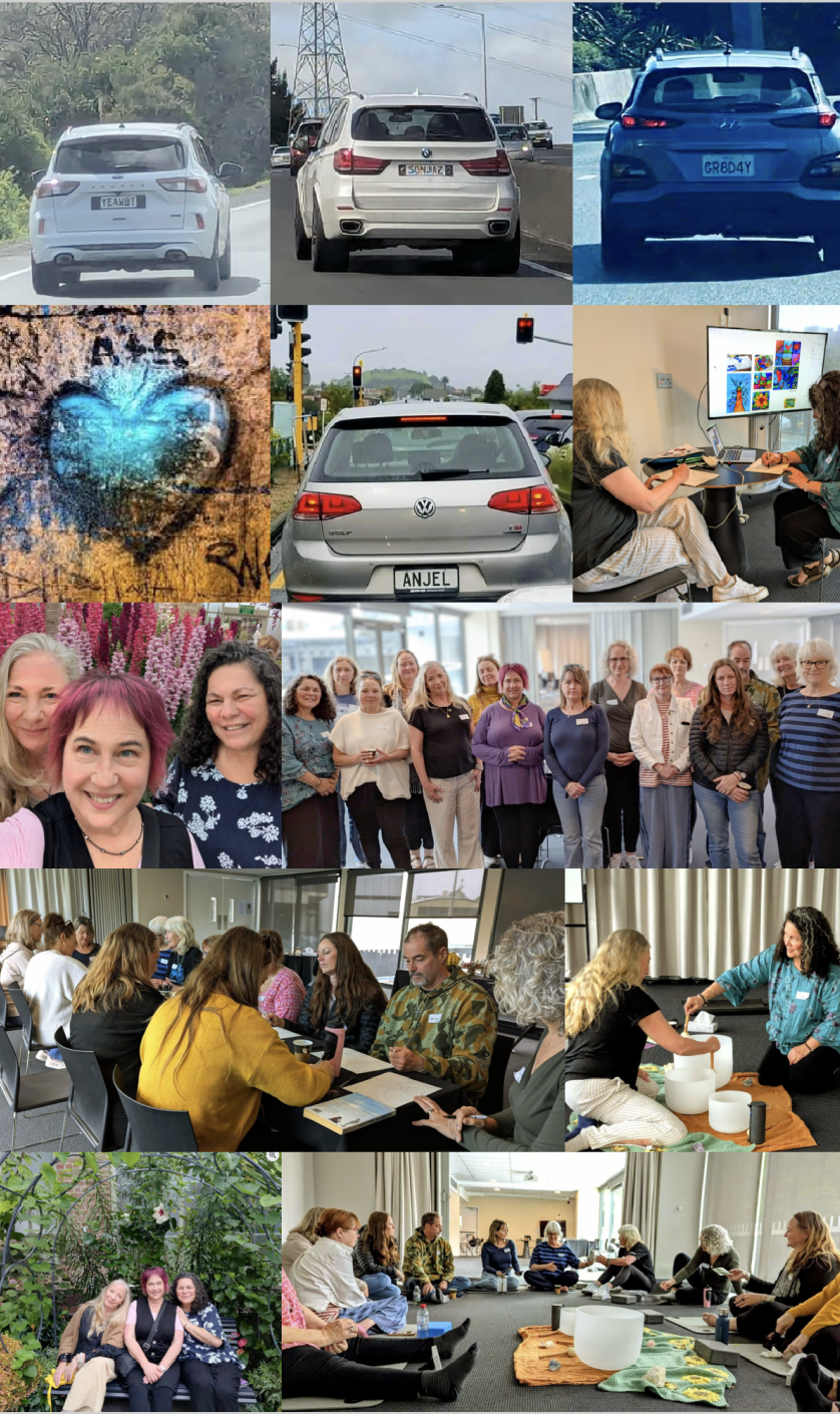 Inaugural HPH Australia & New Zealand Event Held in Auckland on 4th October 2025 - Part 2!